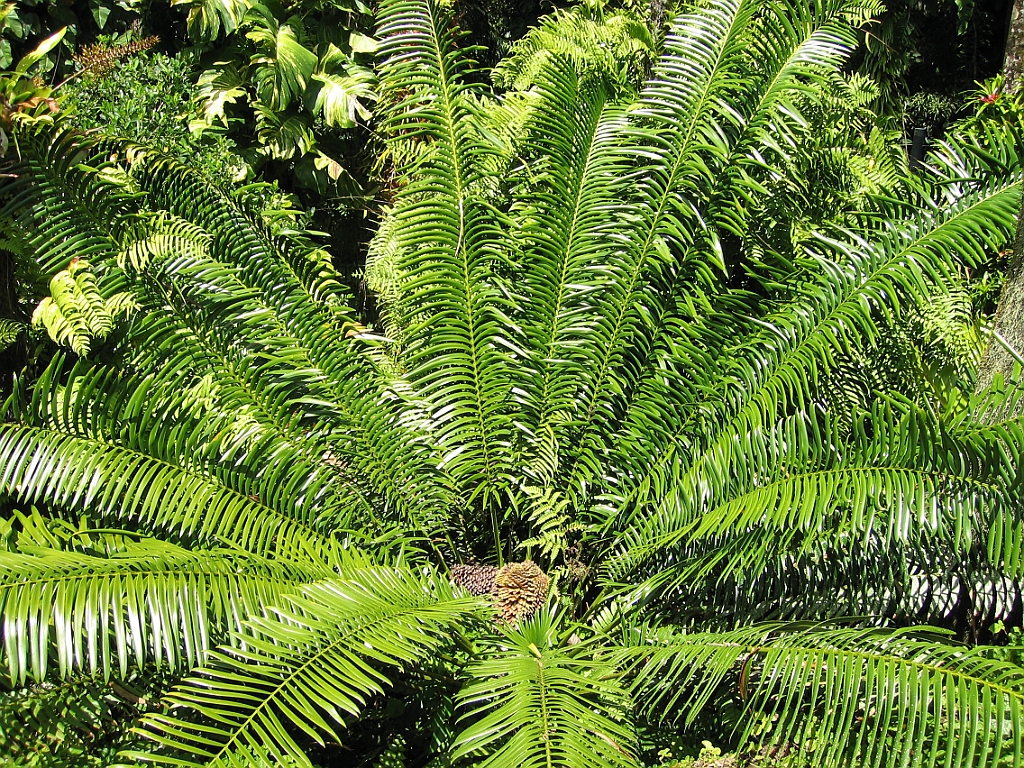 002 Jardin Botanique.jpg